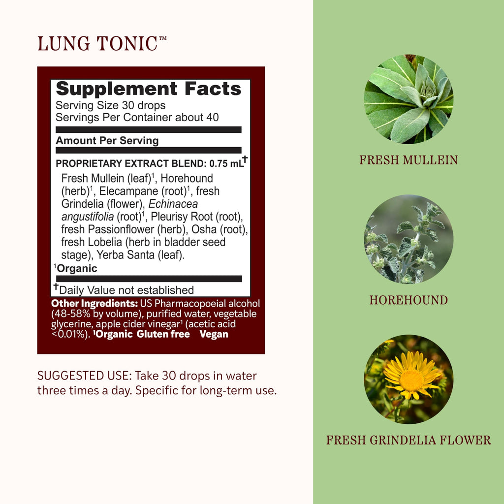 Herbs Etc. Lung Tonic Classic Liquid Extract for Clear Breathing - 1 fl oz - image 4