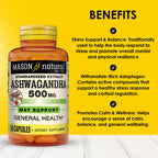 MASON NATURAL Ashwagandha 500 mg Adaptogen - 60 Capsules - image 2