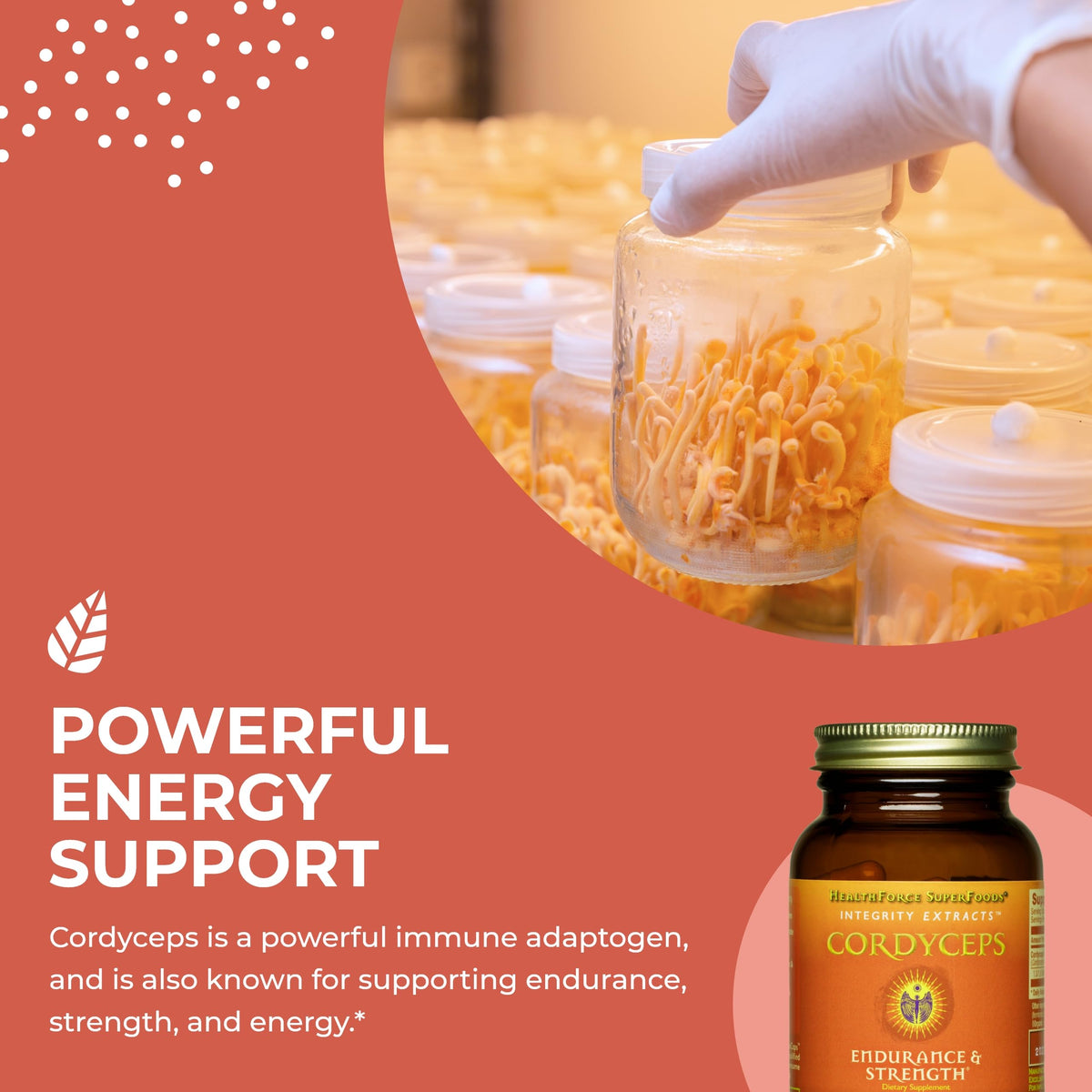 HealthForce SuperFoods Integrity Extracts Cordyceps - 90 Capsules - image 4