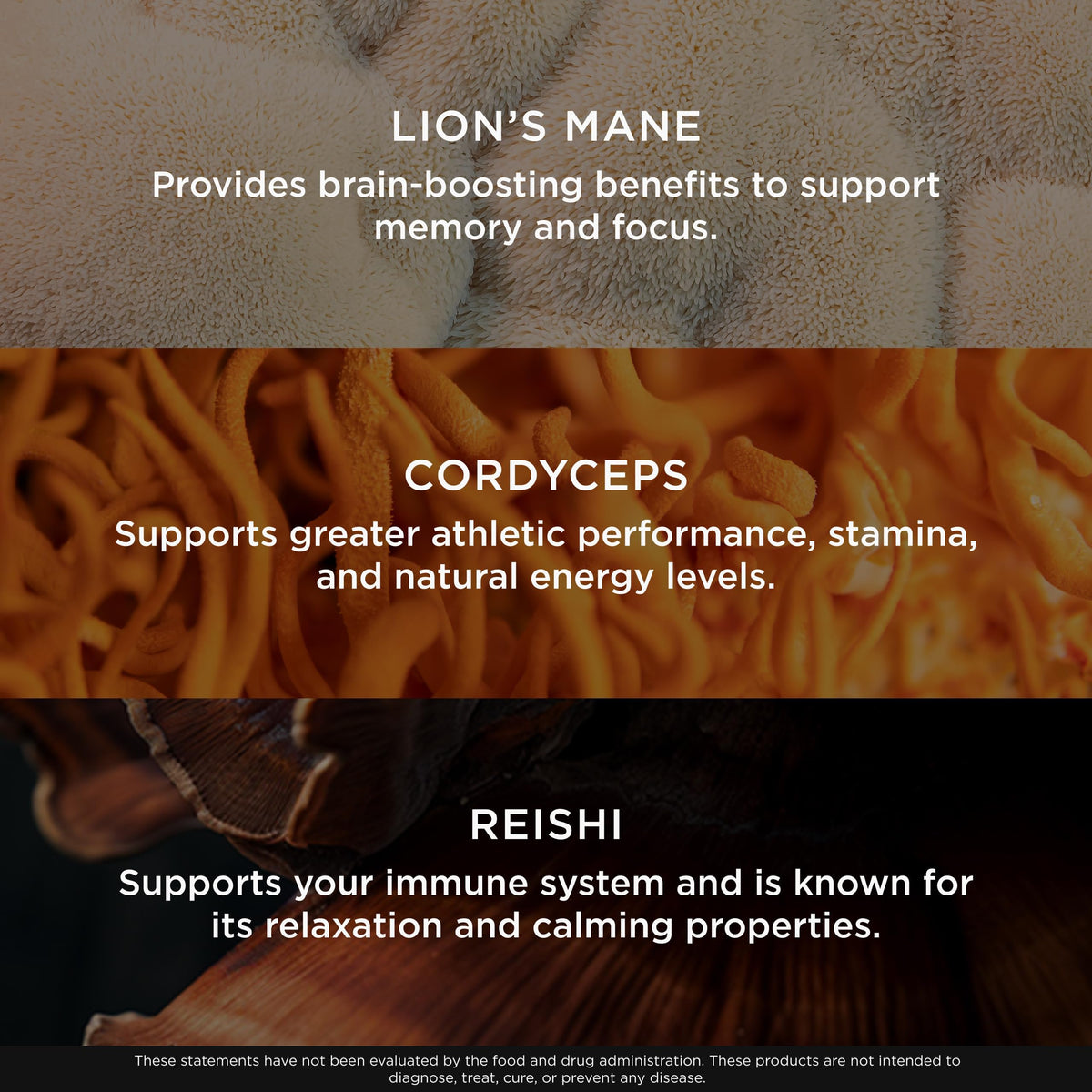 The Genius Brand Mushrooms Supplement - 180 Veggie Capsules - image 3