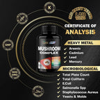 Organic Cadane Mushroom Complex 19-in-1 - 120 Vegan Capsules - image 6