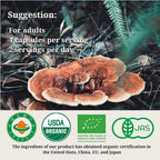 Generic Reishi Mushroom Organic Immune Support - 120 Capsules - image 5