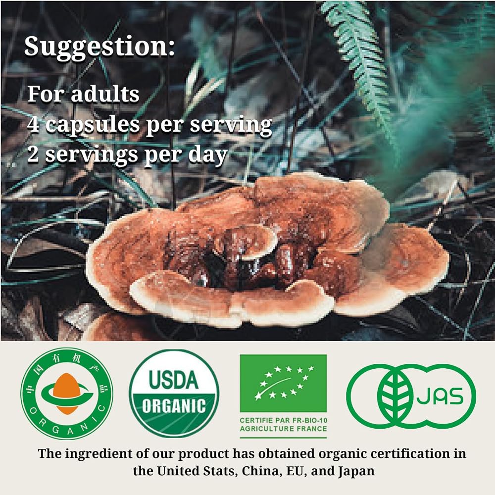 Generic Reishi Mushroom Organic Immune Support - 120 Capsules - image 5
