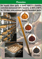 PHARMAKON Organic Aged Black Garlic Softgels - 120 Softgels - image 3