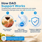 Omne Diem DAO Histamine Neutralizing Enzyme