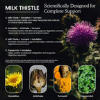 PAYAOCZ Milk Thistle Liquid Drops Silymarin 1000mg