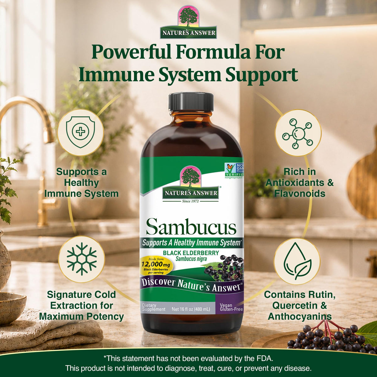 Nature's Answer Sambucus Original Elderberry Extract - 16 fl oz - image 2