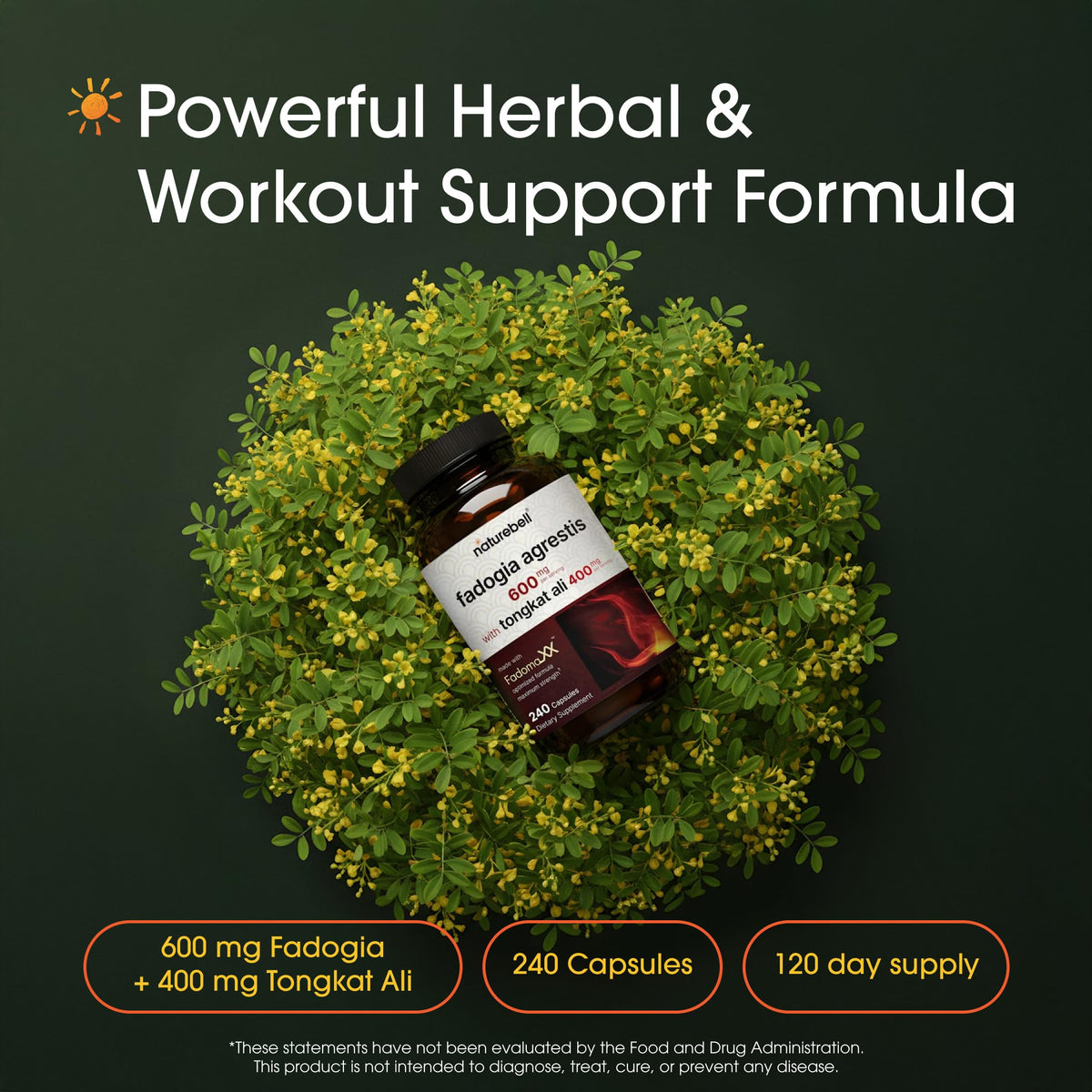 NatureBell Fadogia Agrestis 600mg & Tongkat Ali 400mg - 240 Capsules - image 2