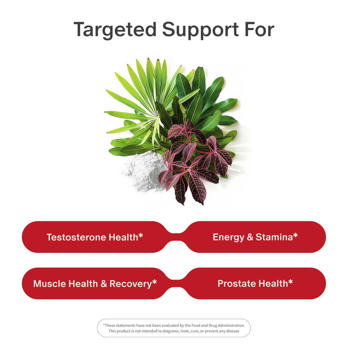 Snap Supplements Testosterone Booster for Men with Tongkat Ali