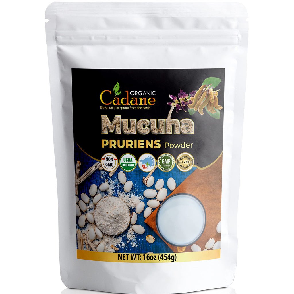 Organic Cadane Mucuna Pruriens Powder for Energy - 1 Pound