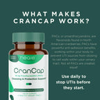 CranCap Cranberry Pills Urinary Tract Support - 30 Capsules - image 4