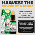 PONLEE Brazil Green Bee Propolis Extract, Alcohol-Free - 30ML - image 4