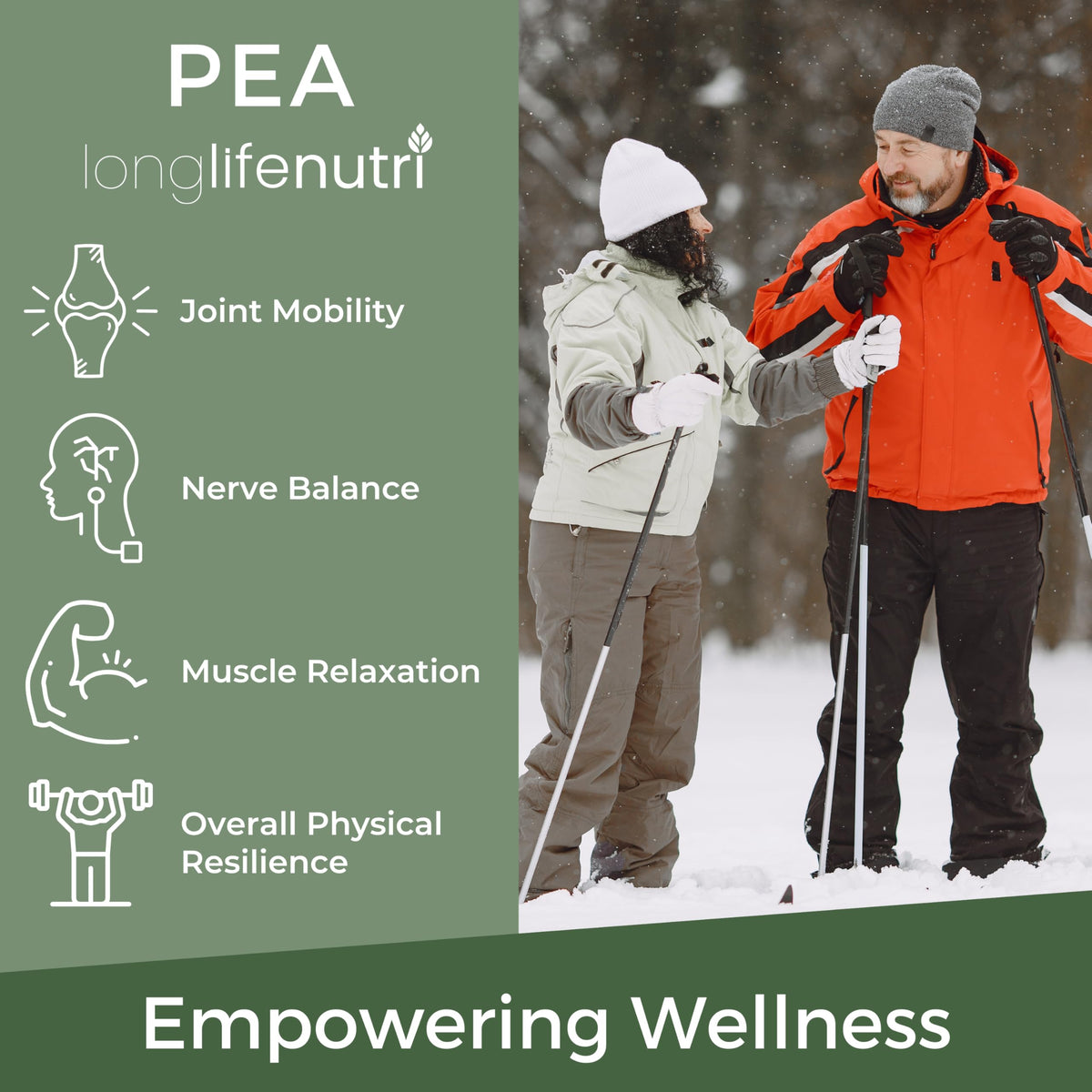 LongLifeNutri Palmitoylethanolamide (PEA) 400mg - 120 Vegetarian Capsules - image 4
