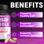 CIVIMUNA Wormwood Capsules with Black Walnut & Herbs - 120 Capsules - image 5