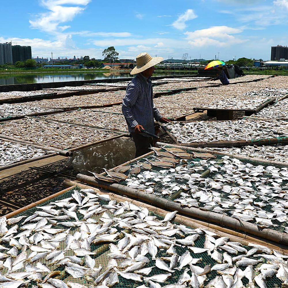 CHEWYZ Dried Fish Dried Red Shirt Fish Dried Seafood Redwood Fish