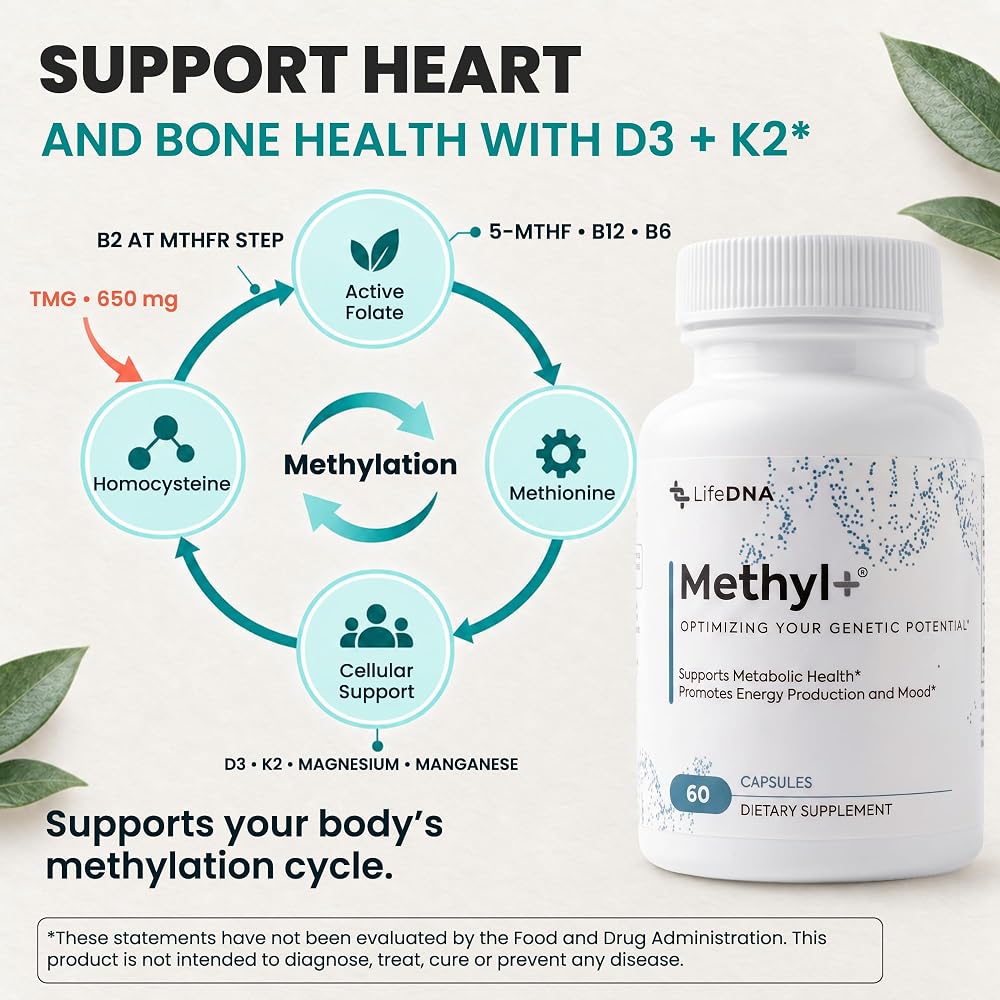 LIFEDNA Methyl + Methylfolate 5-MTHF & TMG Formula - 60 Capsules - image 4