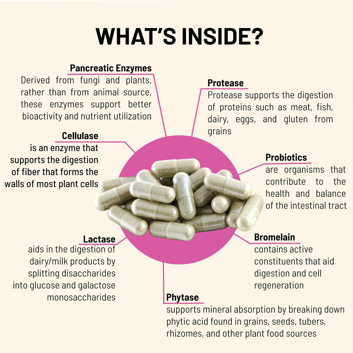 Mountain Peak Nutritionals Digestive Enzymes & Probiotics - 90 Capsules - image 4