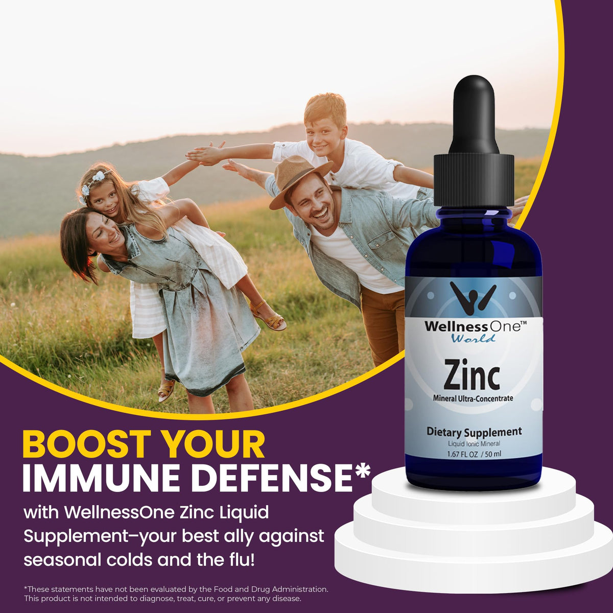 WellnessOne Ionic Liquid Zinc Drops for Immunity Support - 1.67 fl oz - image 6