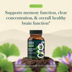 Gaia Herbs Nootropic Focus Herbal Supplement - 40 Vegan Capsules - image 3