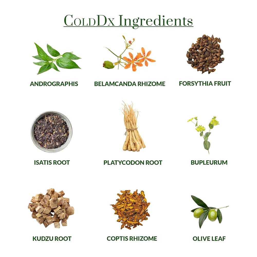 Plantiva ColdDx Natural Herbal Defense Supplement - 60 Capsules - image 5