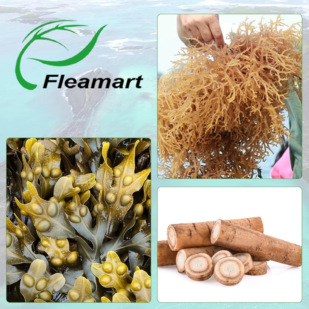 Fleamart Sea Moss Capsules Wildcrafted Bladderwrack Burdock Root