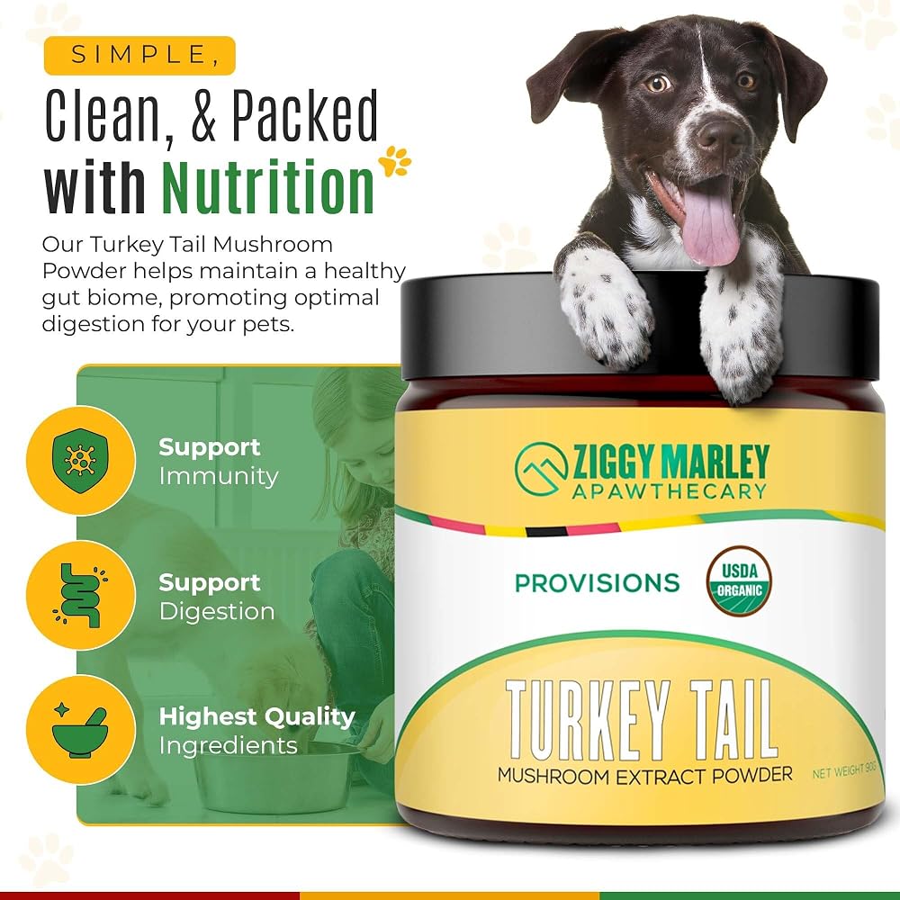 ZMA PETS Turkey Tail Mushroom Powder for Dogs & Cats - 90 Grams - image 4