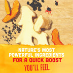 Vive Organic Immunity Boost Elderberry Ginger Turmeric Shot - 12 Pack - image 4
