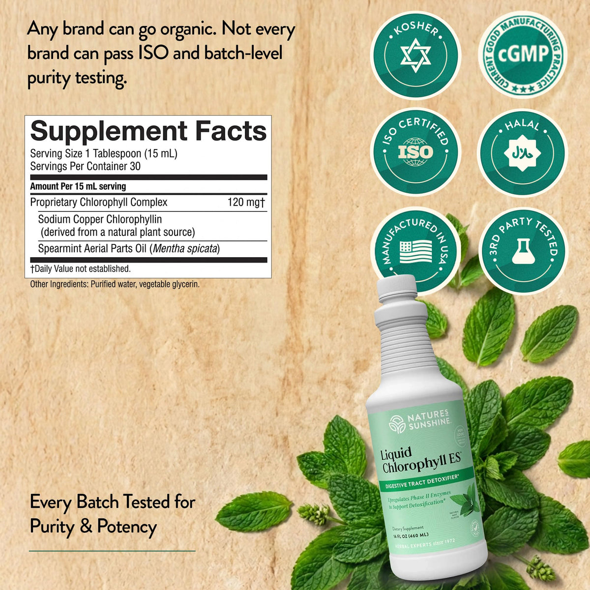 Nature's Sunshine Liquid Chlorophyll Extra Strength - 16 Fl Oz - image 5