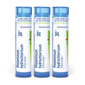 Boiron Histaminum Hydrochloricum 6c Homeopathic Medicine