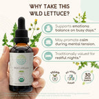 HerbEra Wild Lettuce USDA Organic Tincture