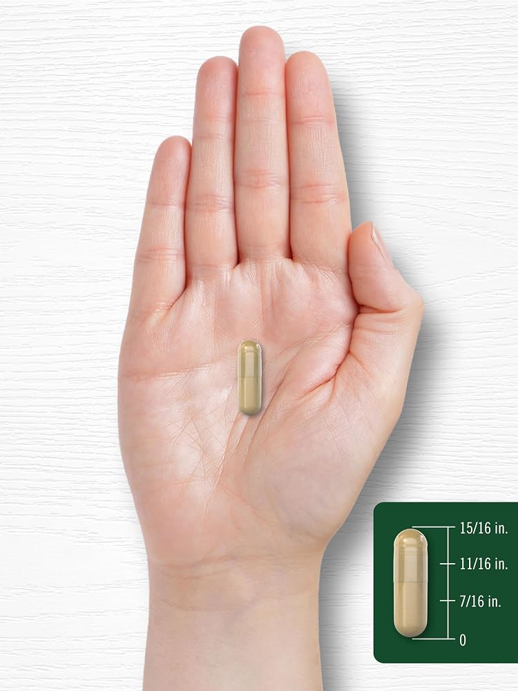 Carlyle Echinacea Capsules - 120 Vegetarian Capsules - image 8