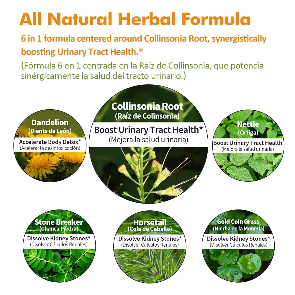 Nurbetoxa Collinsonia Stone Root Drops for Urinary Tract Health - 2 Fl Oz - image 4