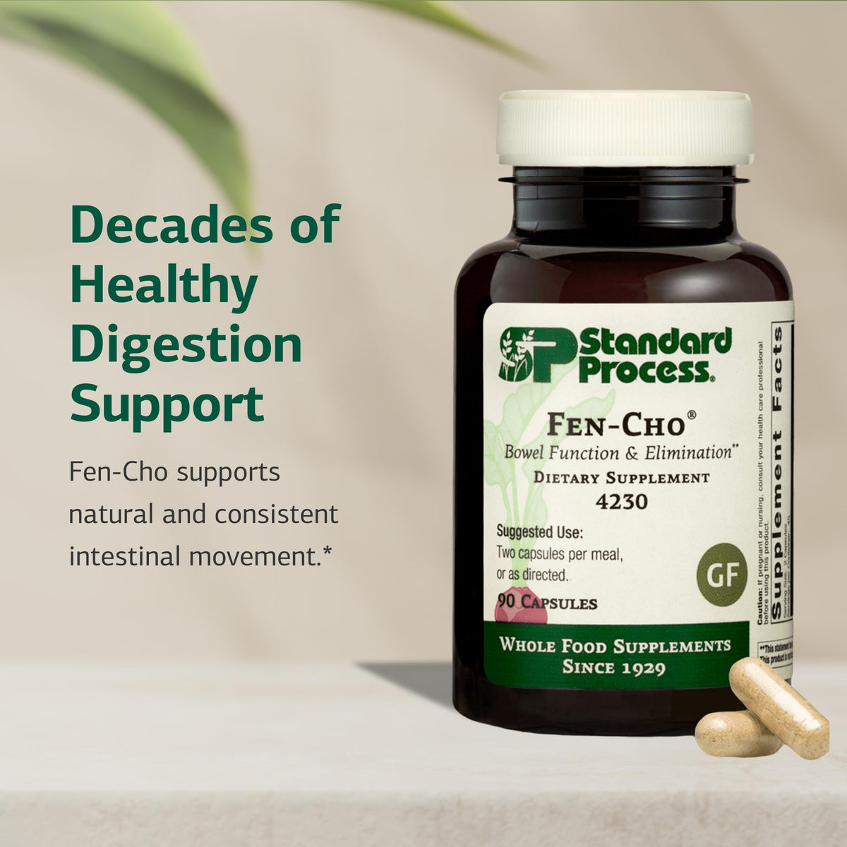 Standard Process Fen-Cho Digestive & Gut Health Supplement - 90 Capsules - image 3