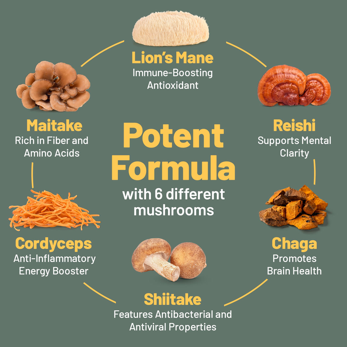 Vegan Vitality Multi Mushroom Supplement Complex - 120 Capsules - image 5
