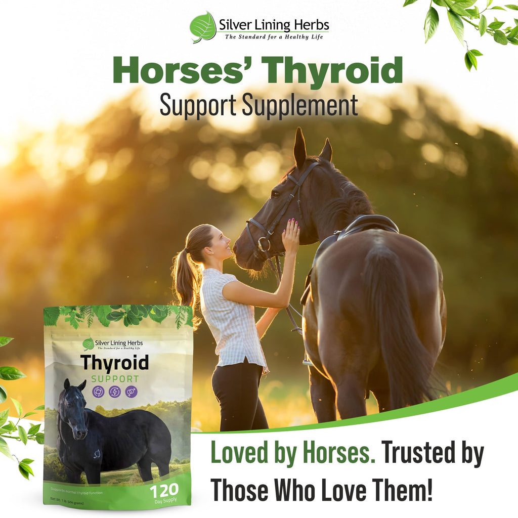 Silver Lining Herbs Thyroid Support for Horses - 1 Pound - image 6
