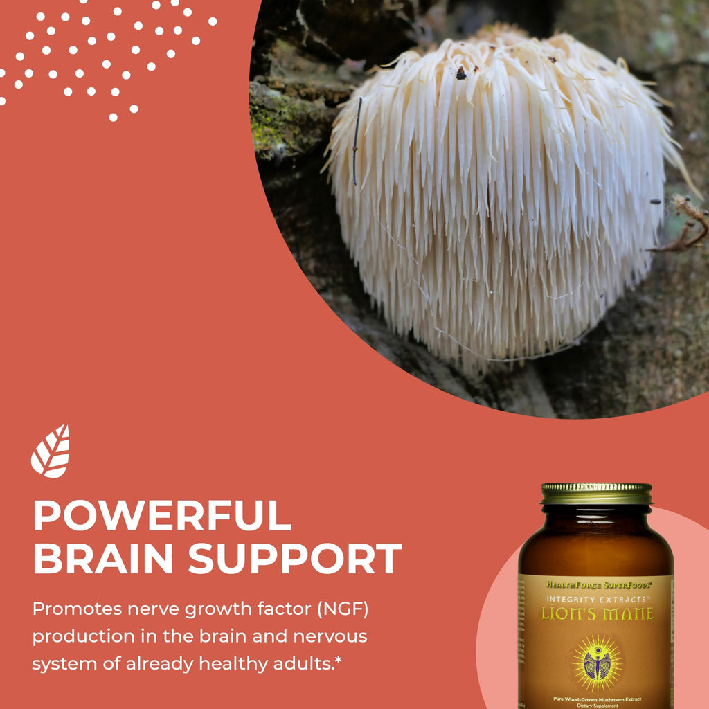 HEALTHFORCE SUPERFOODS Integrity Extracts Lion's Mane Powder - 60g - image 4