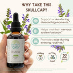 HerbEra Skullcap Alcohol-Free Herbal Extract Tincture