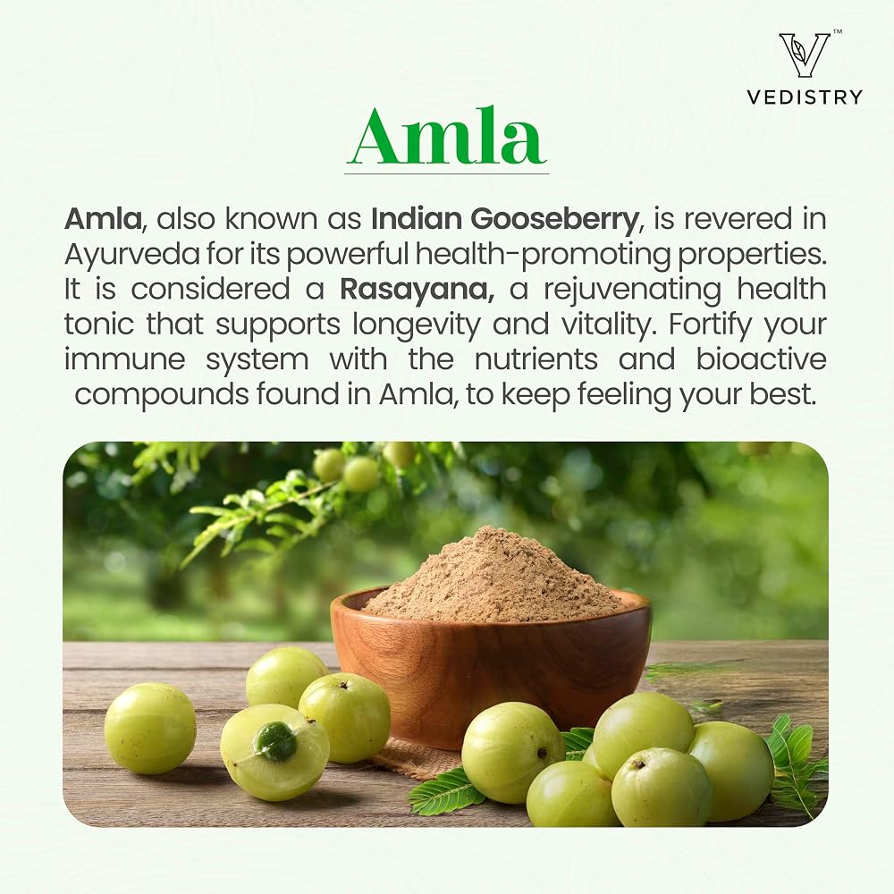 Vedistry Amla Supplement 1100mg Indian Gooseberry Tablet - 60 Tablets - image 2