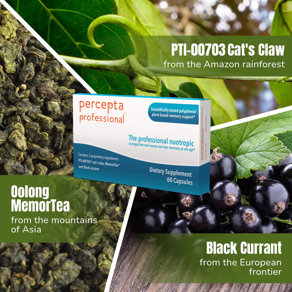 Percepta Professional Brain Supplement - 60 Capsules - image 4