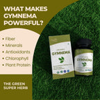 ORGANIC SPREE GYMNEMA Tablets