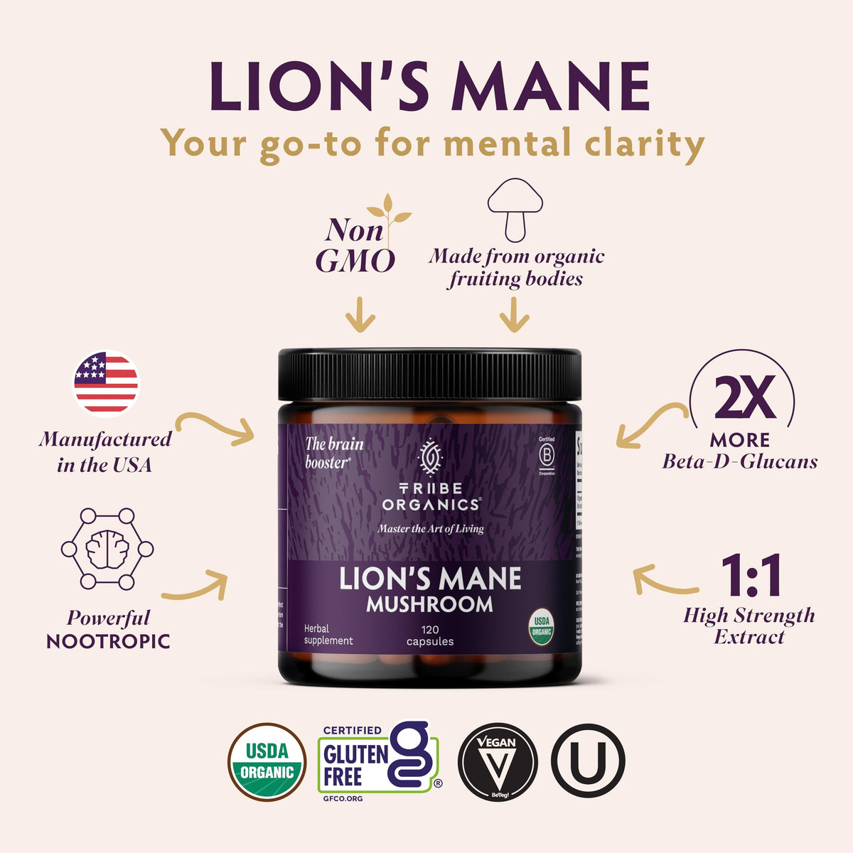 TRIBE ORGANICS Lion's Mane Supplement Capsules - 120 Count - image 2