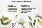 Bulk Buy Colon Restore 1400 Count Capsules - Cleanse & Probiotic - image 4