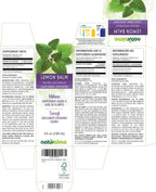 Naturalma Lemon Balm Leaf Alcohol-Free Tincture - 4 fl oz - image 2