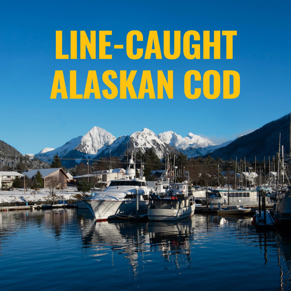 On Target Living Alaskan Cod Liver Oil