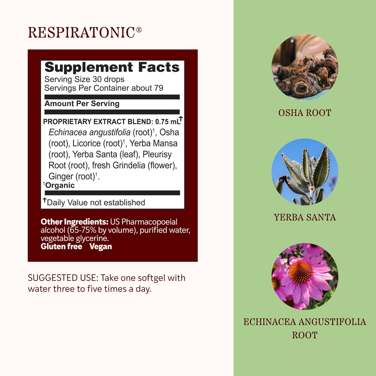 Herbs Etc. Respiratonic Liquid Extract for Lung Health - 2 fl oz - image 4