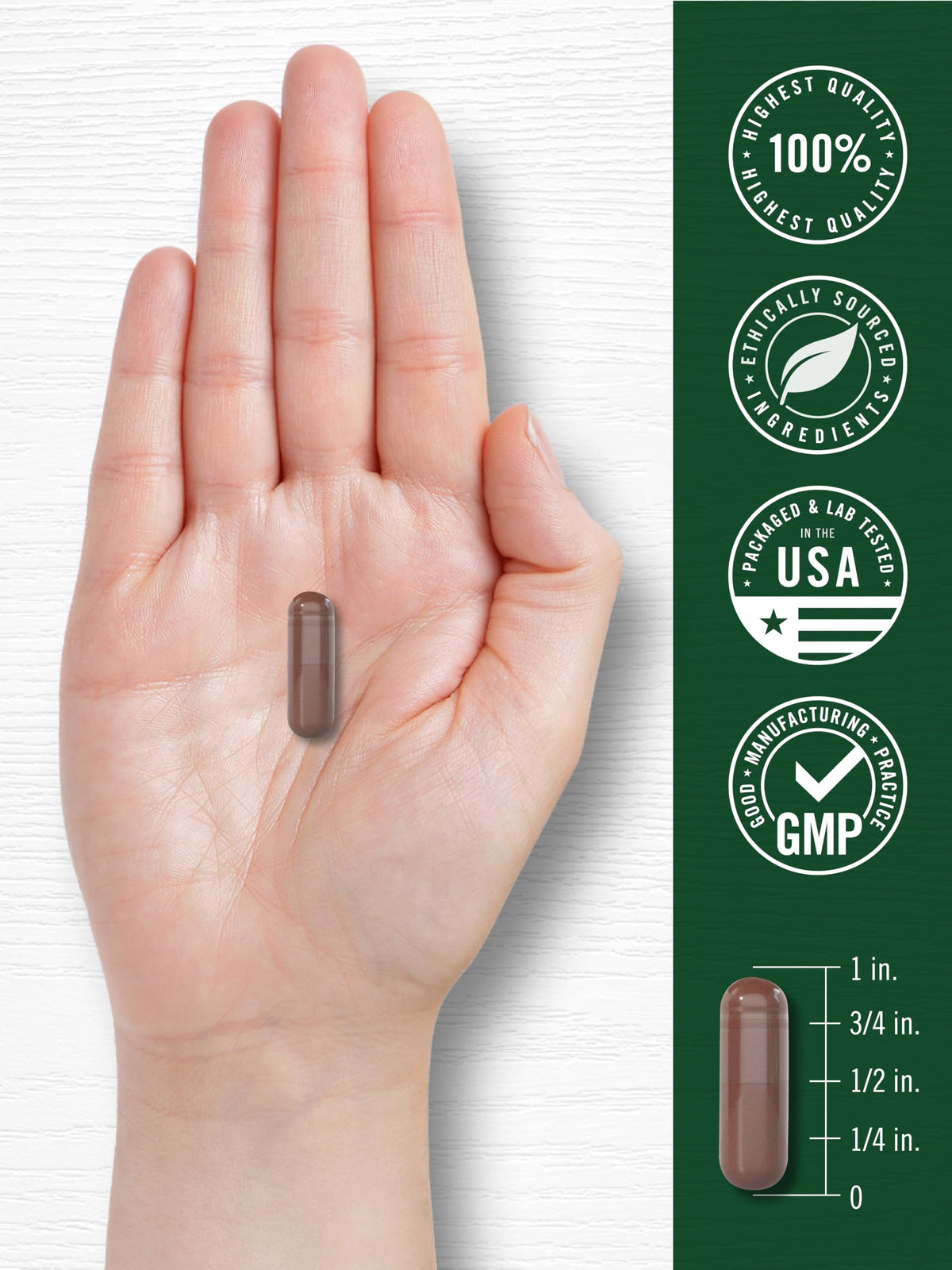 Carlyle Grape Seed Extract Supplement - 240 Capsules - image 7