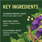 Banyan Botanicals Organic Adrenal Nourish Stress Relief - 90 Tablets - image 6