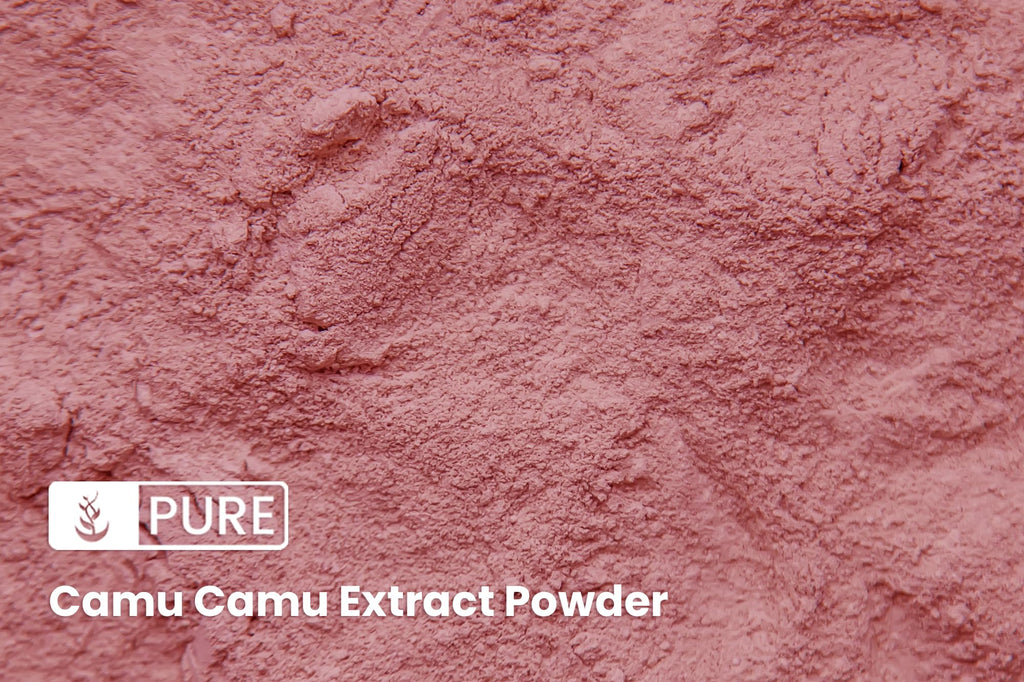 Pure Original Ingredients Camu Camu