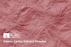 Pure Original Ingredients Camu Camu