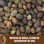 HerbsForever Haritaki Powder Ayurvedic Fruit - 16oz - image 6
